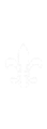 flower1